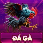 đá gà okfun